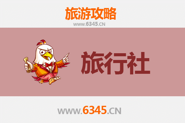 万宁东澳镇本地旅行社推荐：探索海南隐秘海岸线的完美指南